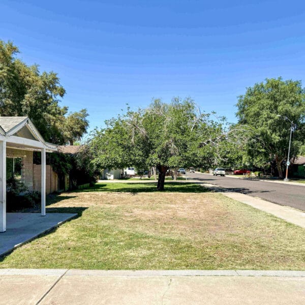 Solana Dr Landscape Design — before