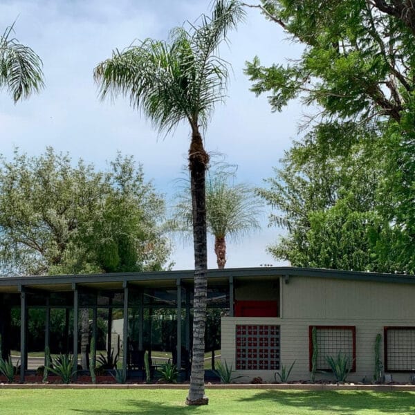 Schreiber-designed mid-century modern home in Arcadia, Phoenix with low sloping roofline, glass entry, tall palm trees, green lawn, and mature shade trees.