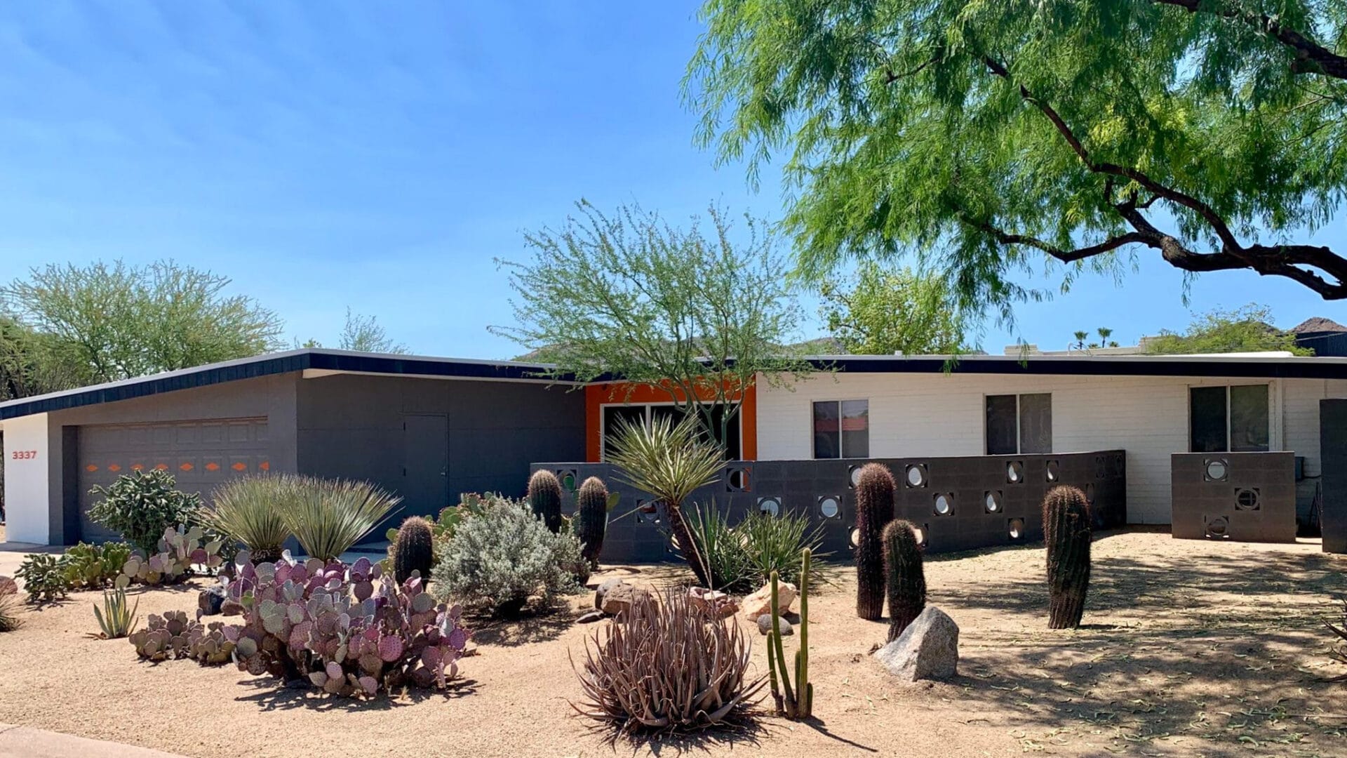 Desert Landscaping for a Mid-Century Modern Phoenix Yard