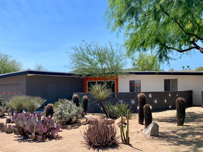 Desert Landscaping for a Mid-Century Modern Phoenix Yard