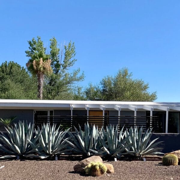 Ralph Haver mid-century modern home in Starlite Vista Phoenix with agave landscaping, low roofline, patio port, block wall, and desert landscaping.