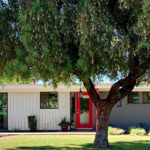 Ralph Haver mid-century modern home in Starlite Vista Phoenix with red entry, low roofline, carport, front lawn, and mature tree.