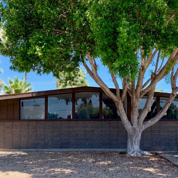 Ralph Haver mid-century modern home in Town and Country Scottsdale with block wall, low roofline, horizontal windows, mature tree, and desert landscaping.