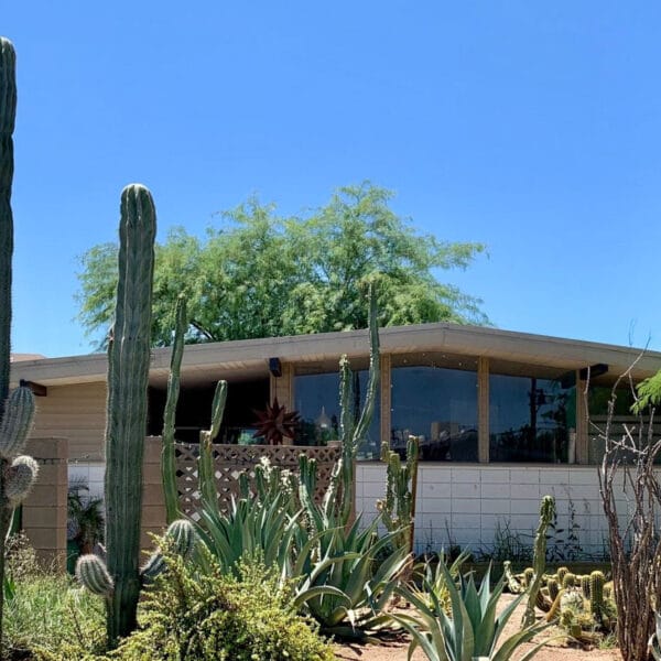Ralph Haver mid-century modern home in Town and Country Scottsdale with cactus garden, low roofline, large windows, breeze block, and desert landscaping.