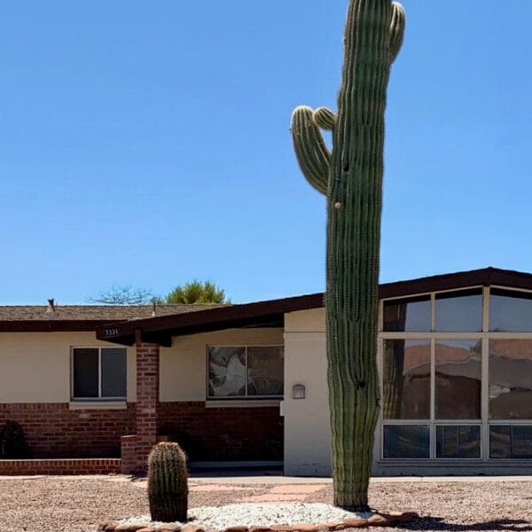 Ralph Haver mid-century modern home in Town and Country Scottsdale with saguaro cactus, low roofline, clerestory windows, brick details, and integrated carport.